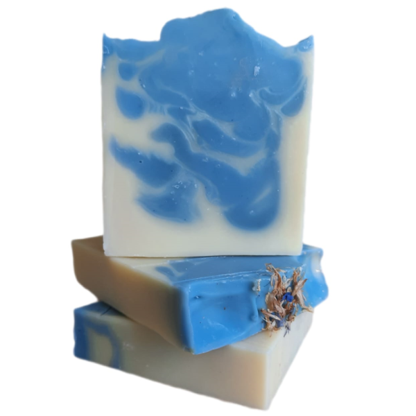 Bleuet & Bourrache - Image 2