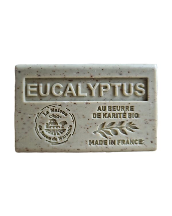 Eucalyptus