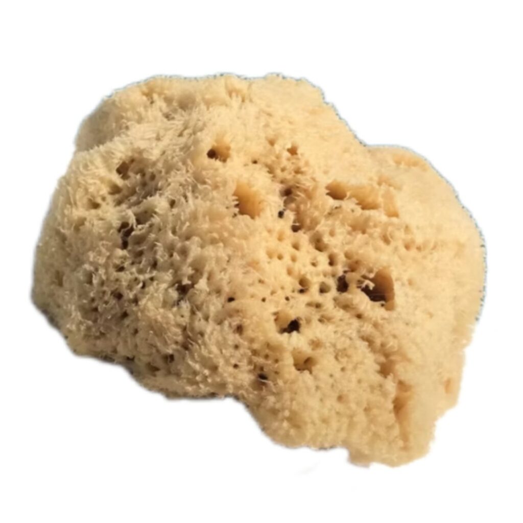 Natuurspons