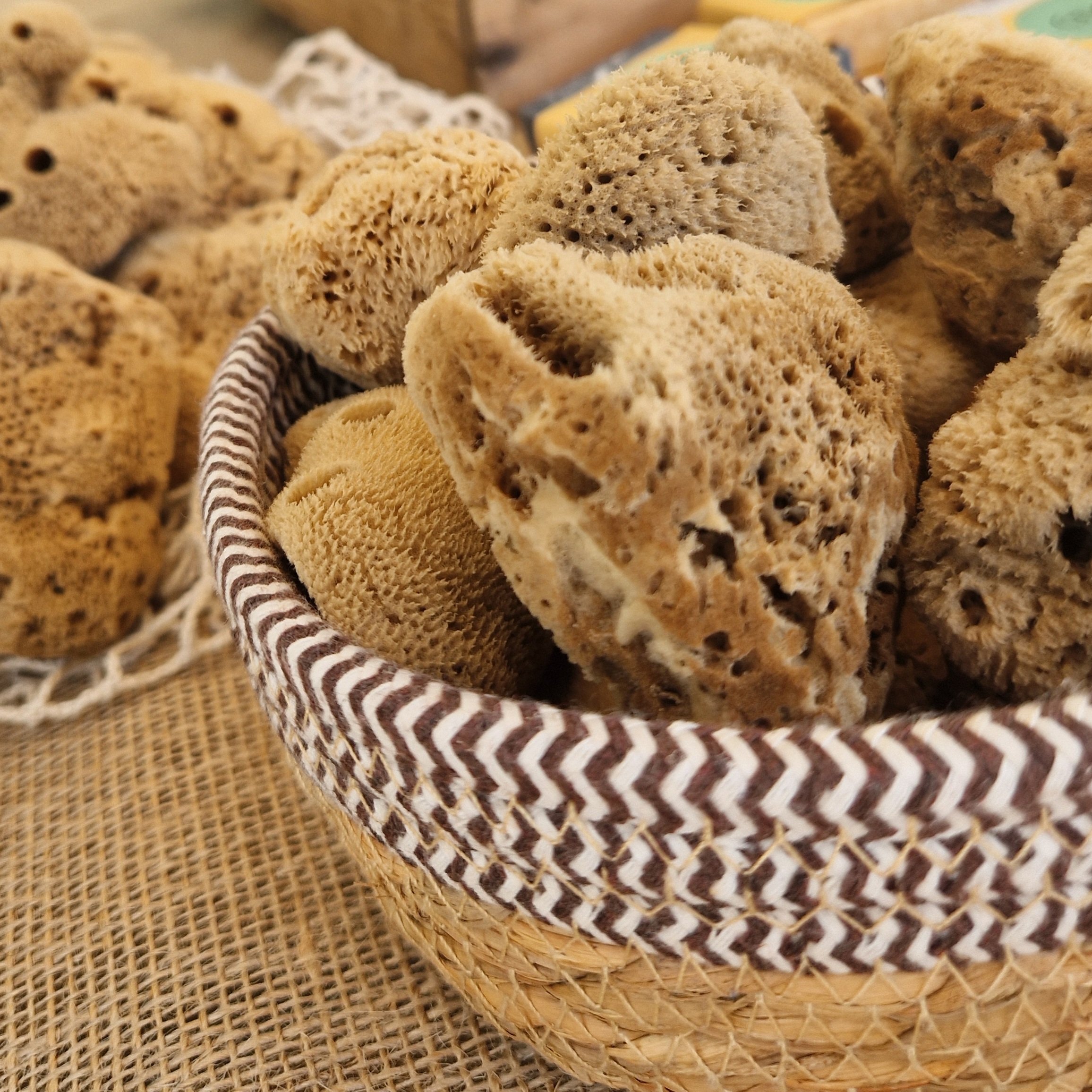 Natuurspons - Afbeelding 5